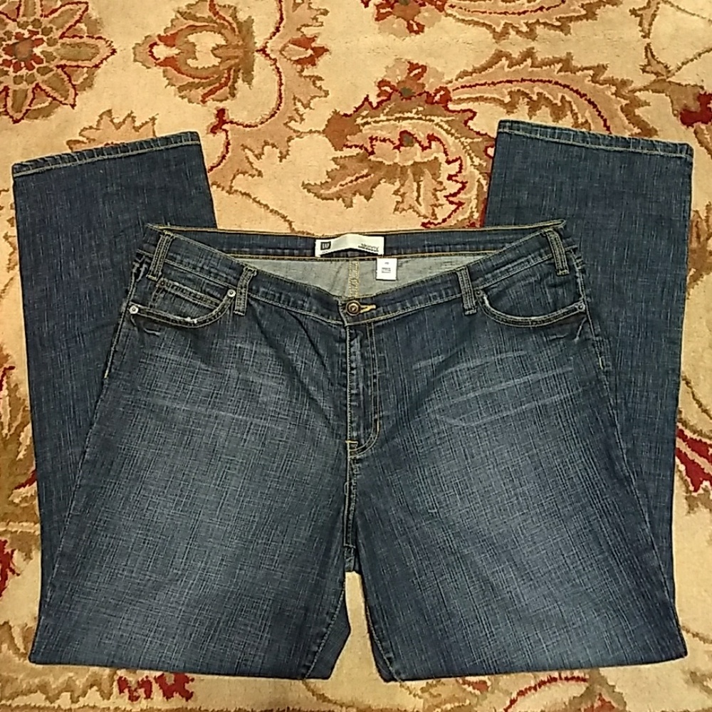 GAP Skinny Stretch Plus Size Jeans